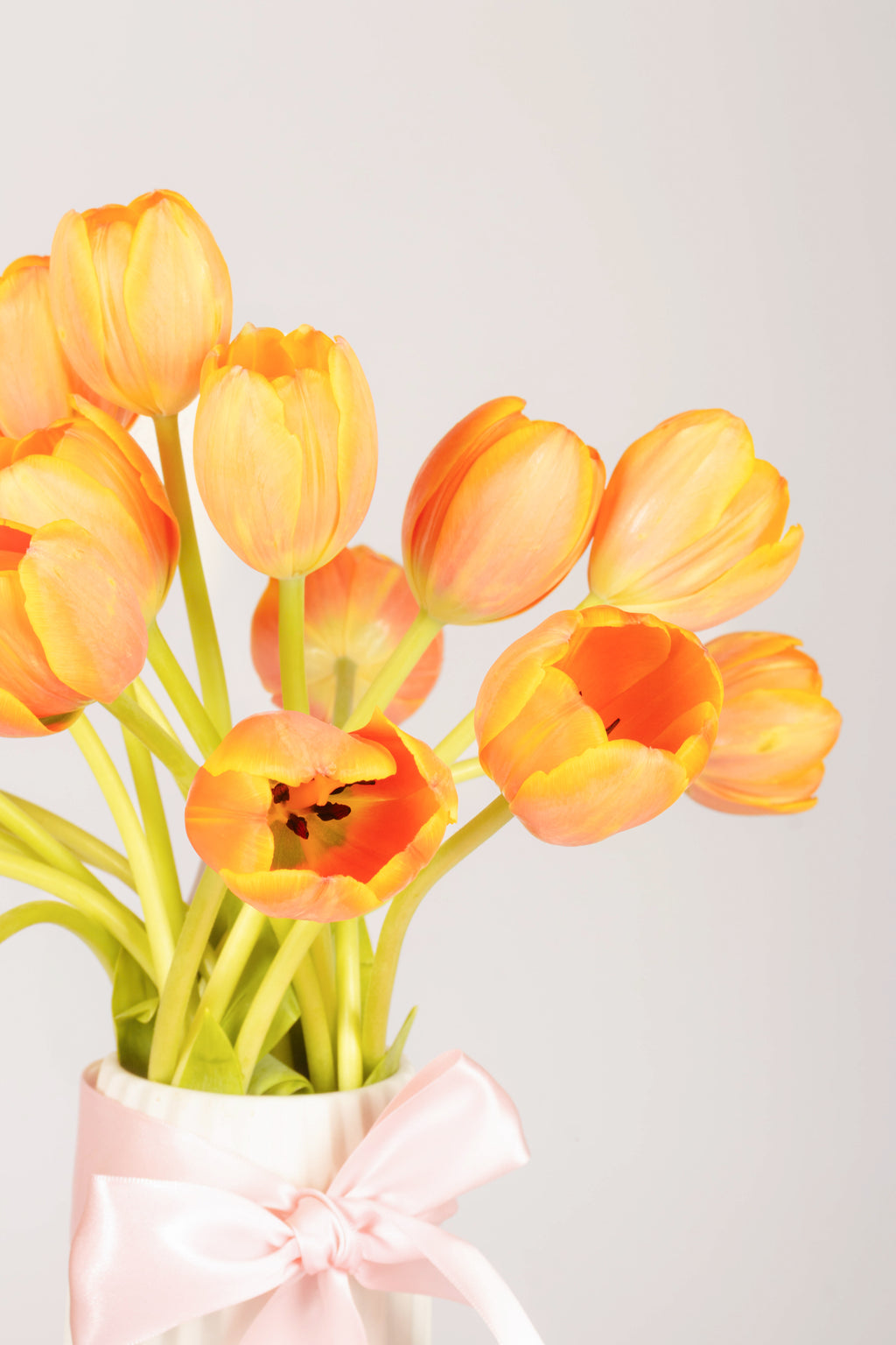 Tulipan 10 tallos