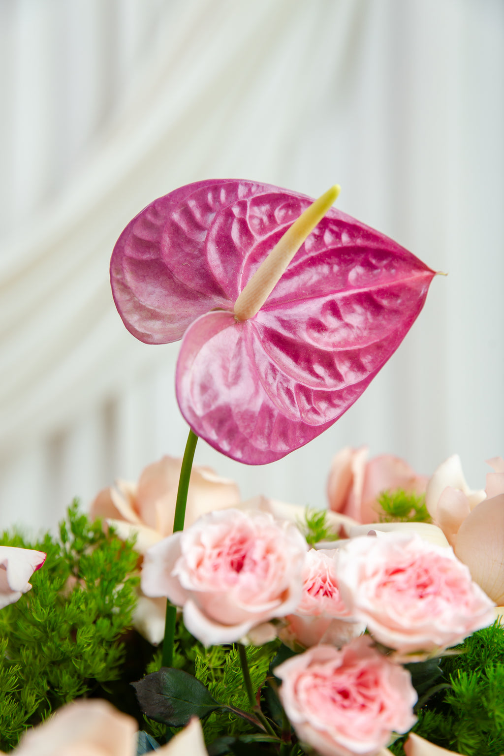 Rosé Orchid Garden