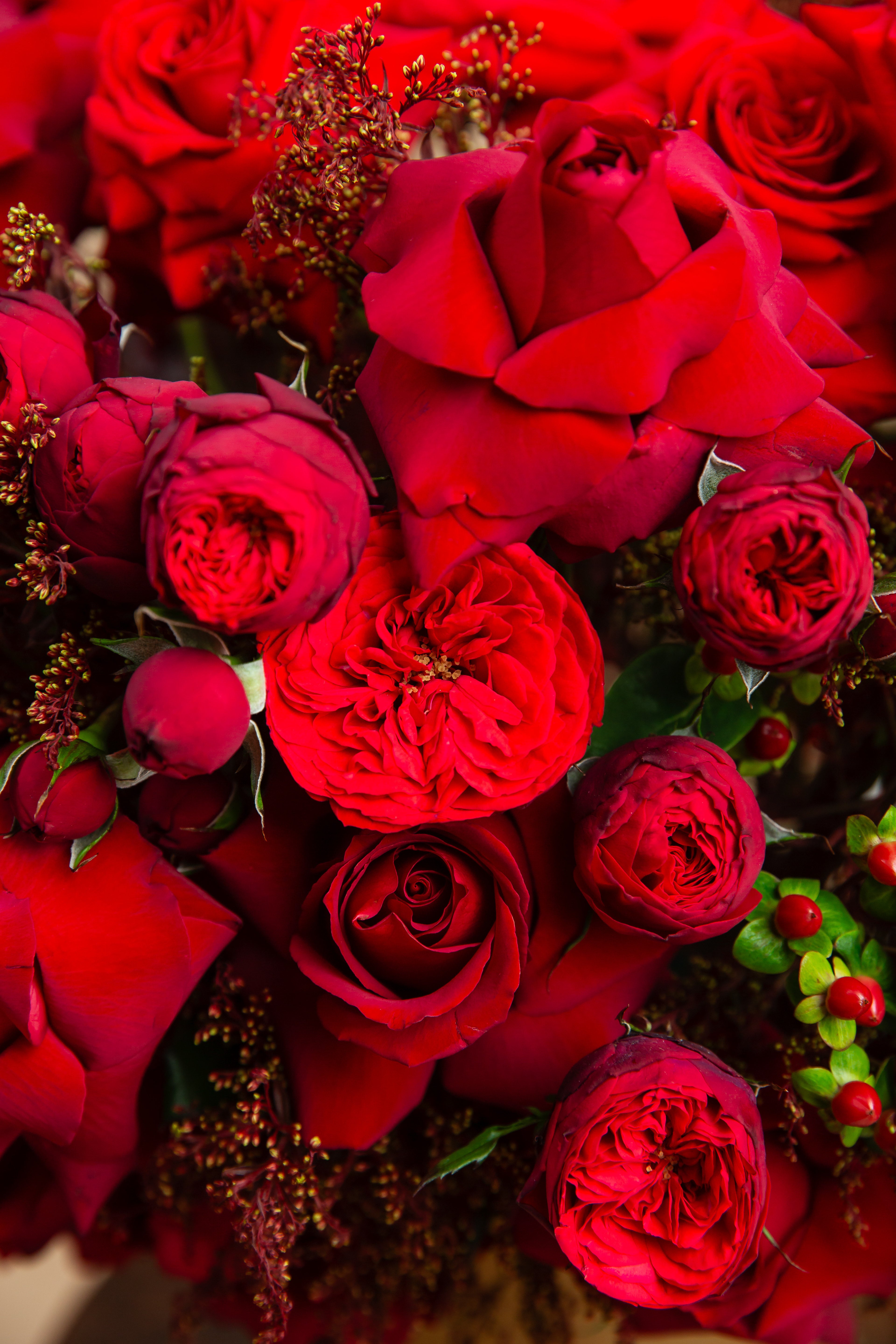 Red Temptation